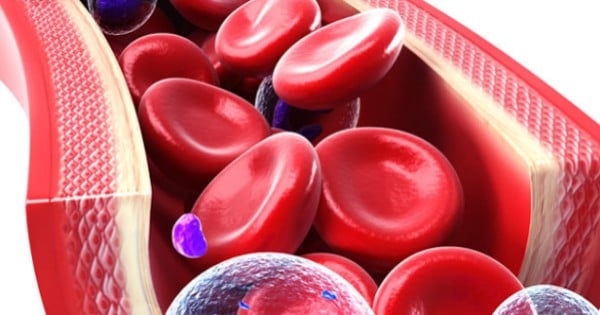 blood-cells-and-stem-cells